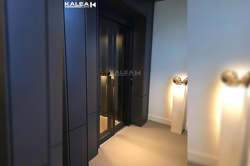 Private Home, Kabina Snow model (Cabin Lift ) ,1 Side Shaft Glass,Upgrade Sliding Glass Door, Premium Coated Gothic Graphite Black